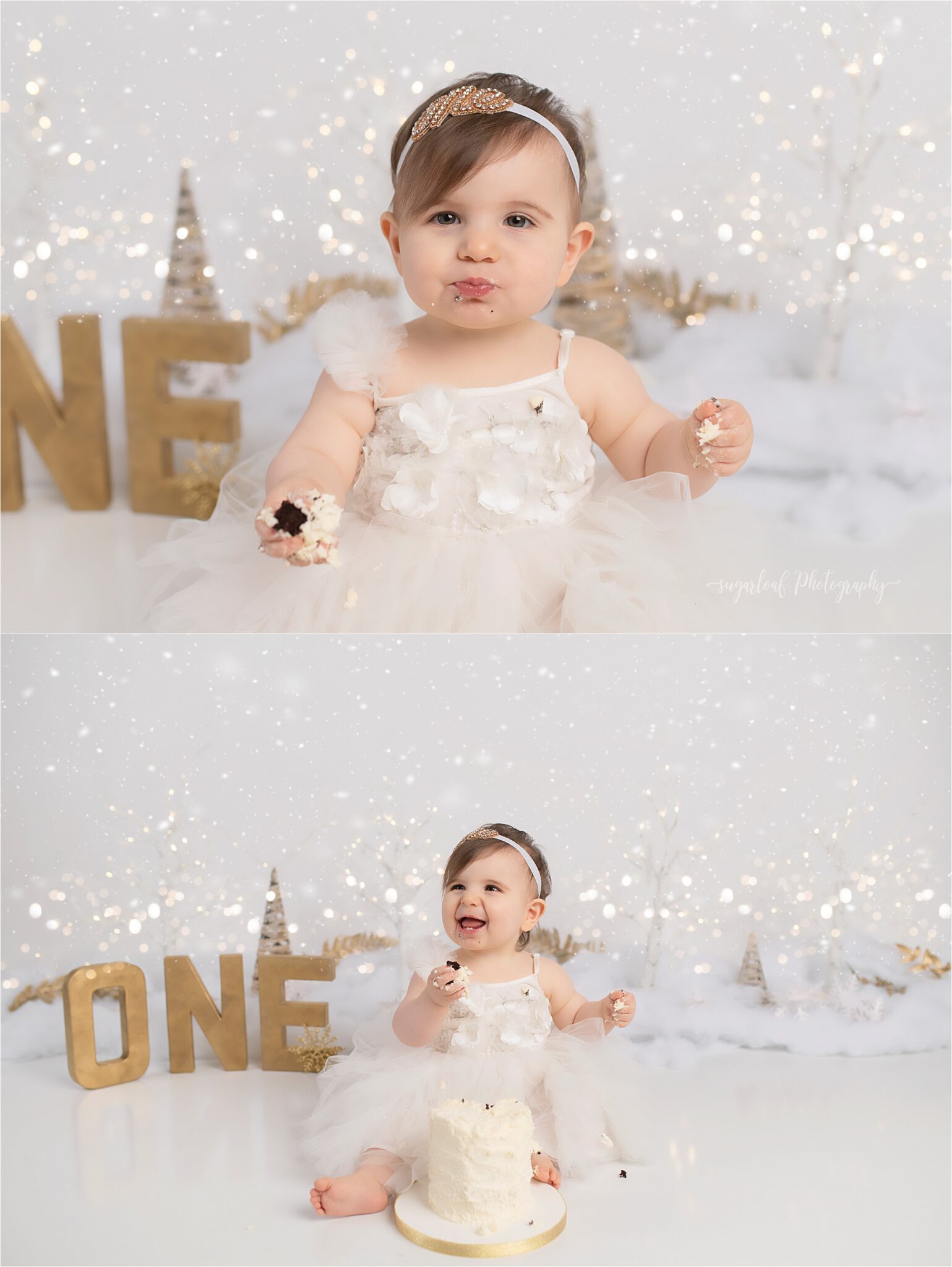 first birthday cake smash winteronederland maryland photographer