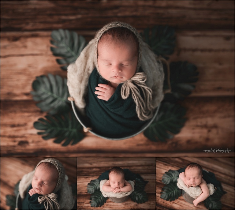 studio style newborn session 