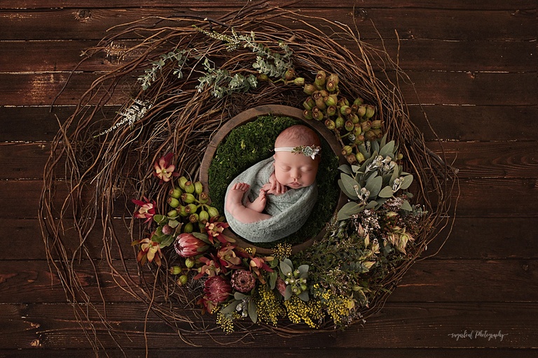 Bel Air, MD newborn photographer