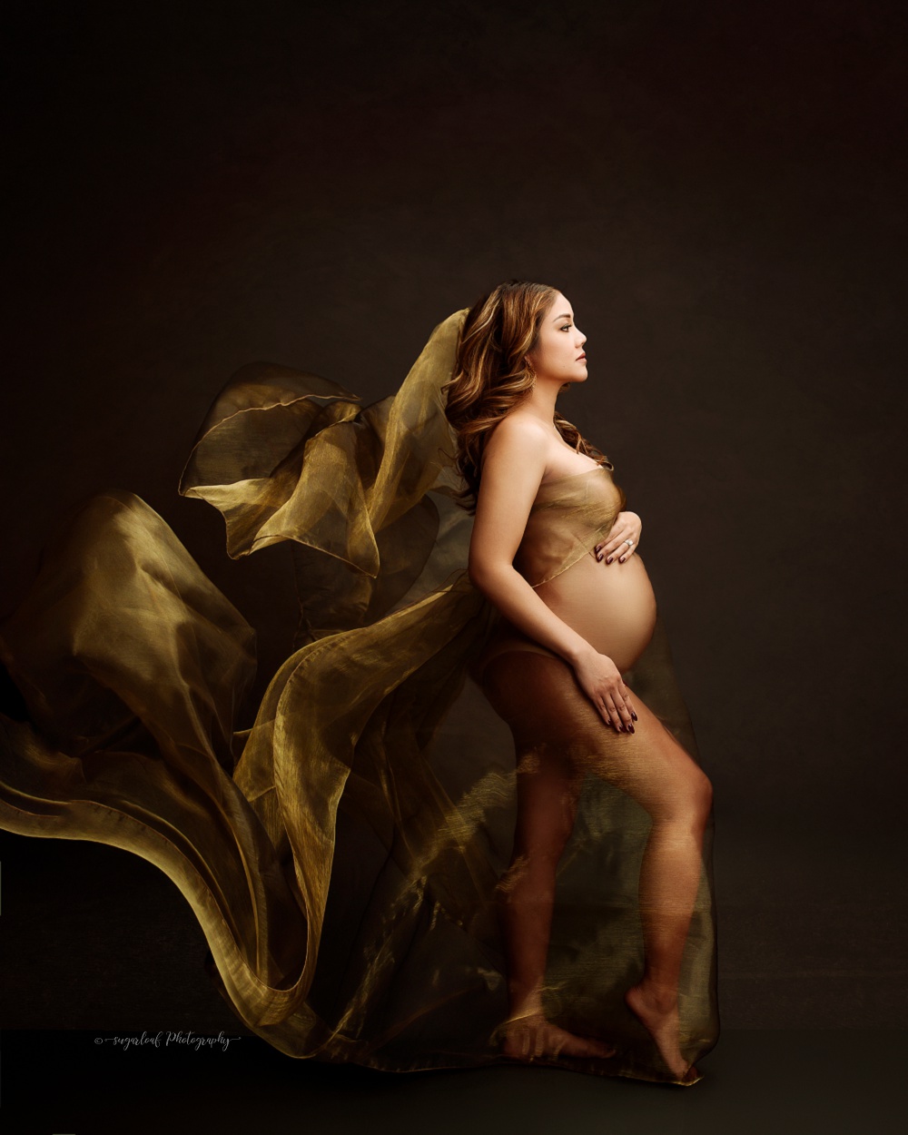 baltimore maternity portraits