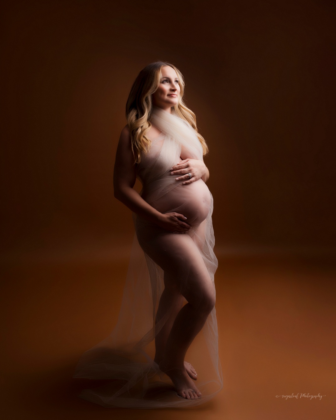 maternity photographer harford county