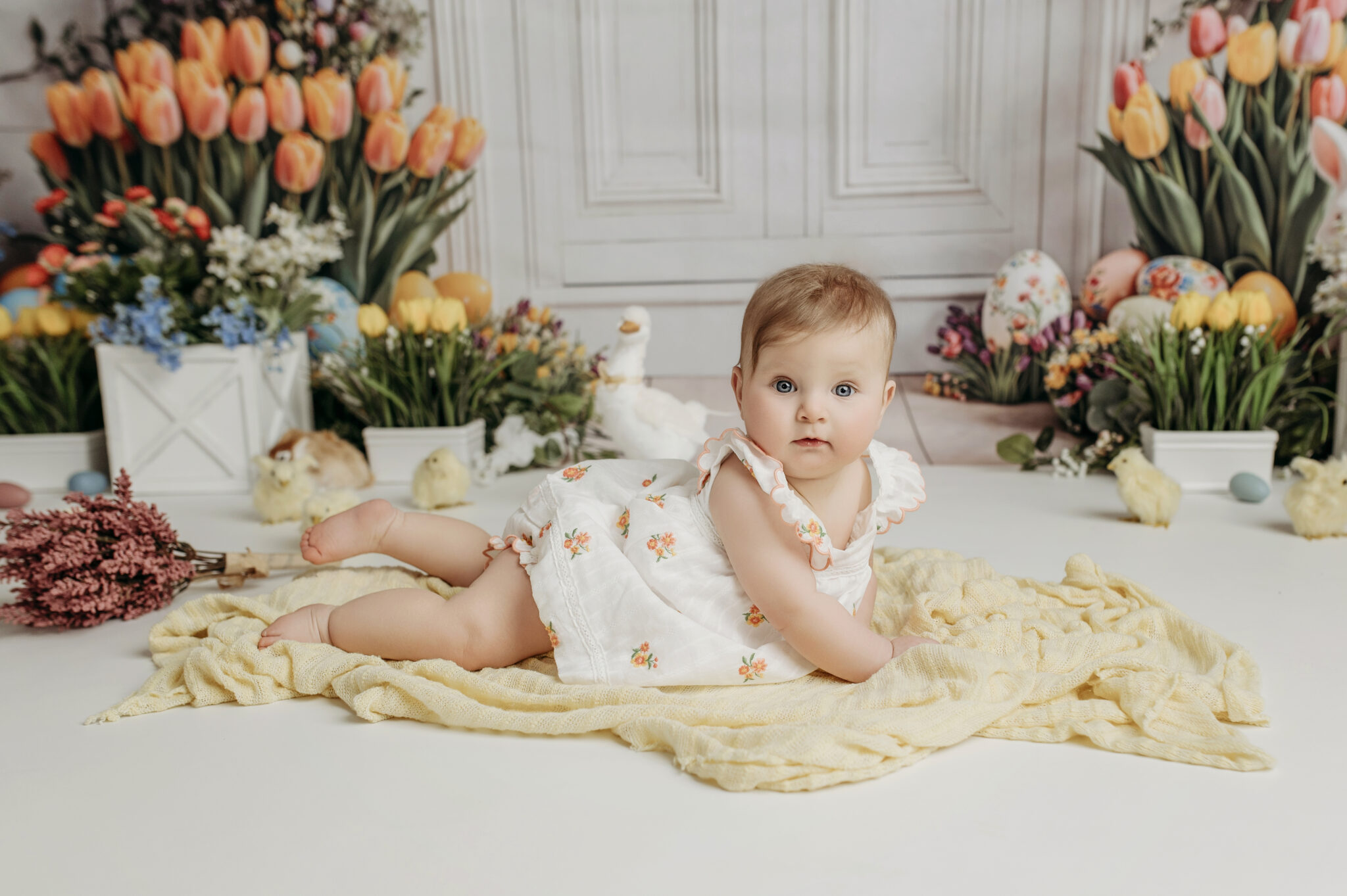  Spring Mini Sessions in Bel Air, MD 