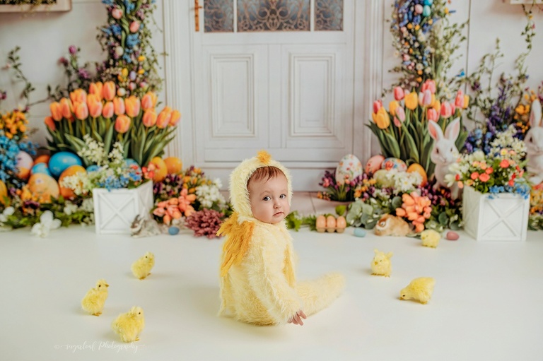 mini sessions maryland photrogr[aher 