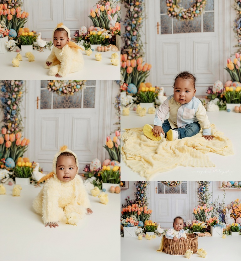 harford county baby photographer