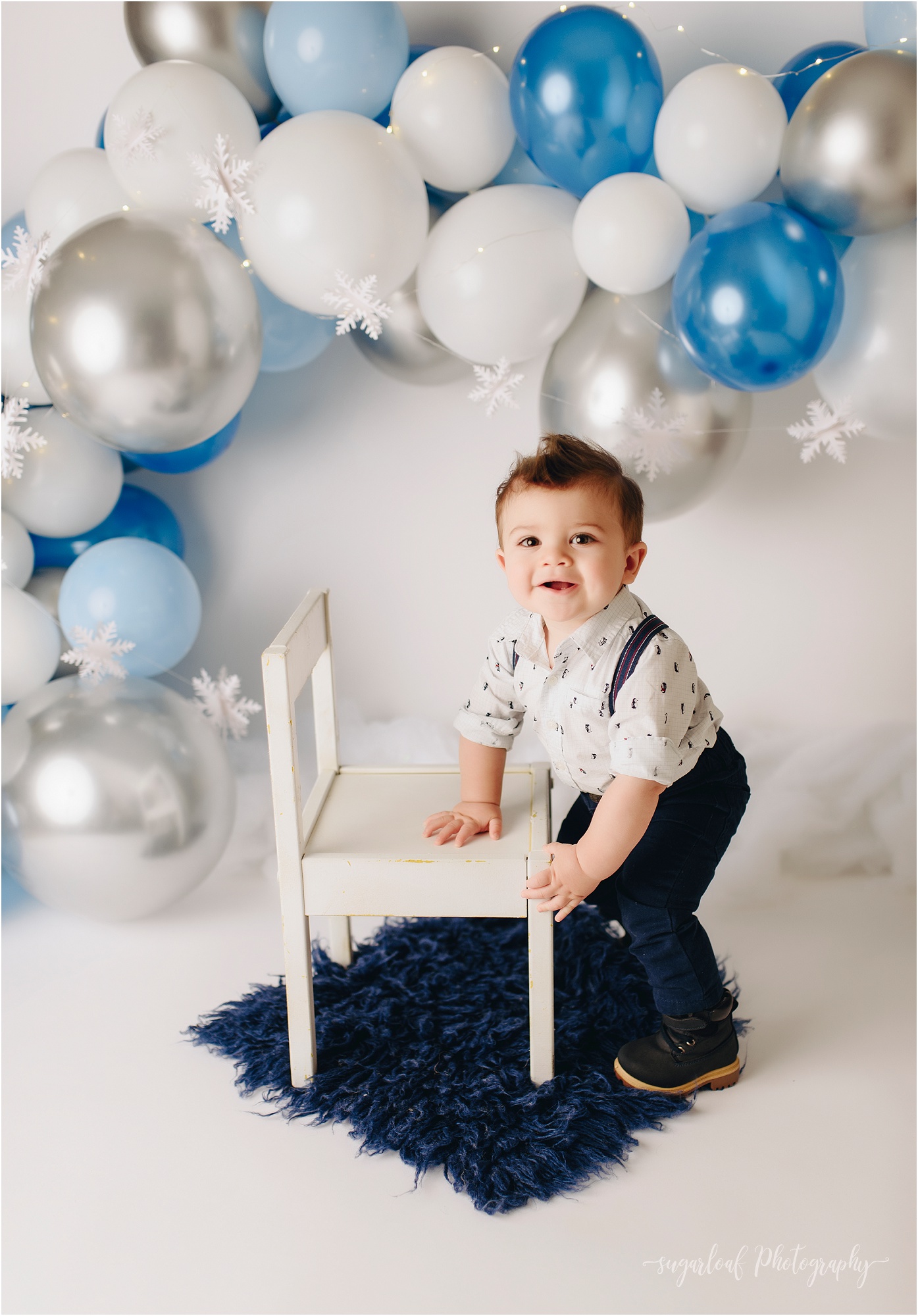 It's a Winter ONEderland - First Birthday Cake Smash Session - Fairfax ...