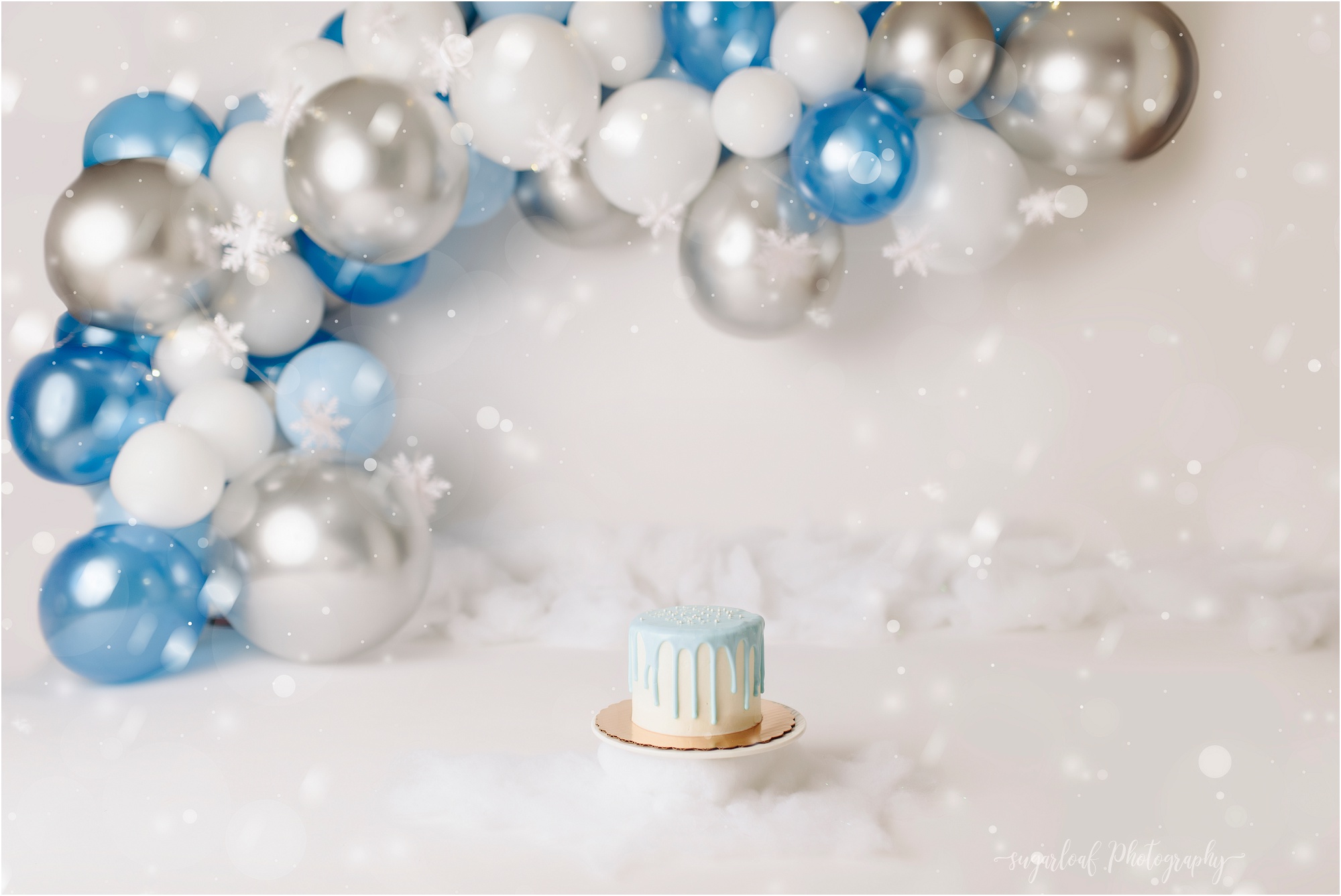 It's a Winter ONEderland - First Birthday Cake Smash Session - Fairfax ...