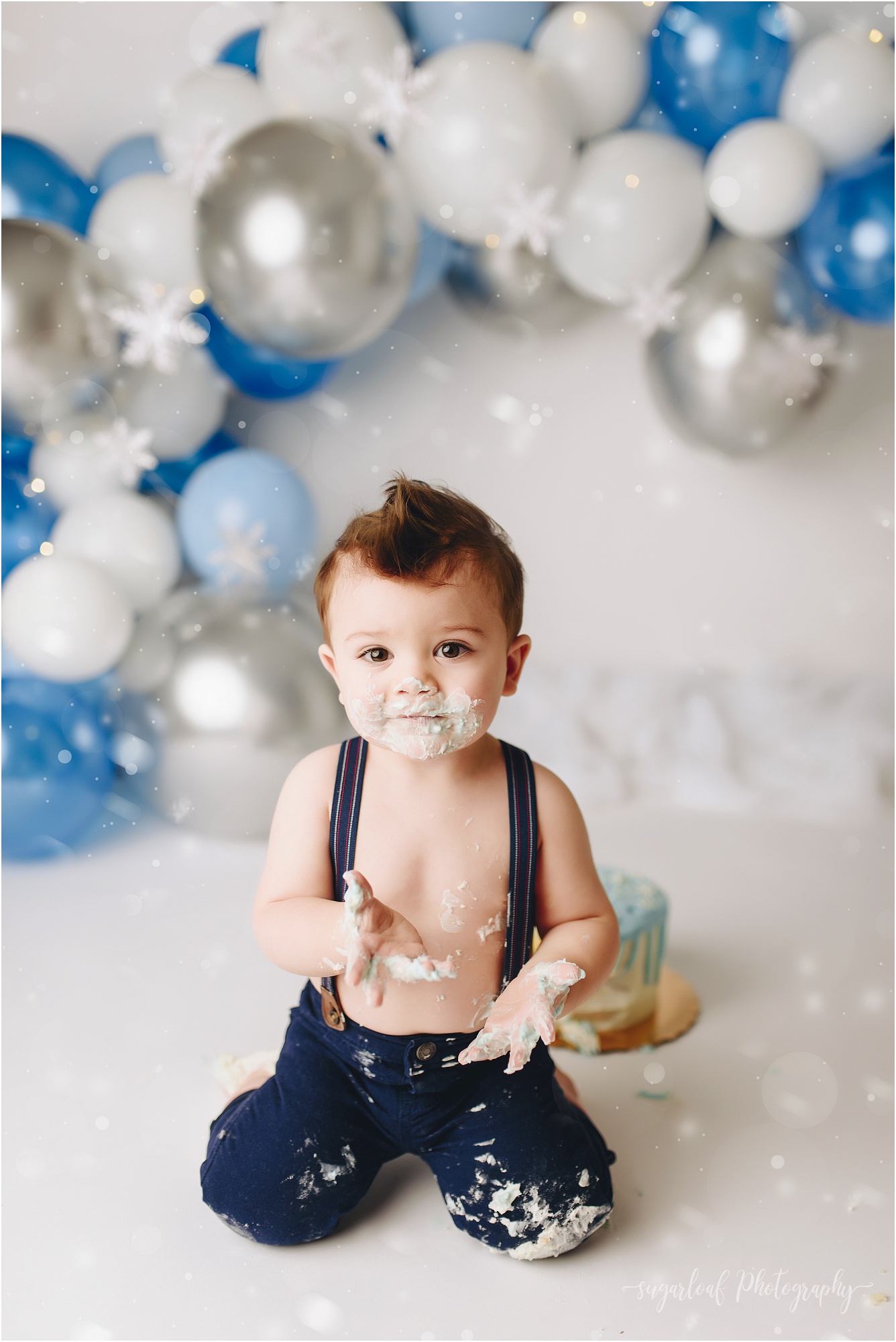It's a Winter ONEderland - First Birthday Cake Smash Session - Fairfax ...