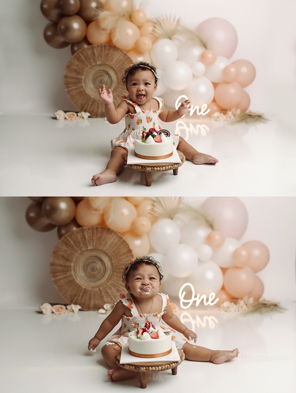 harford county cake smash session