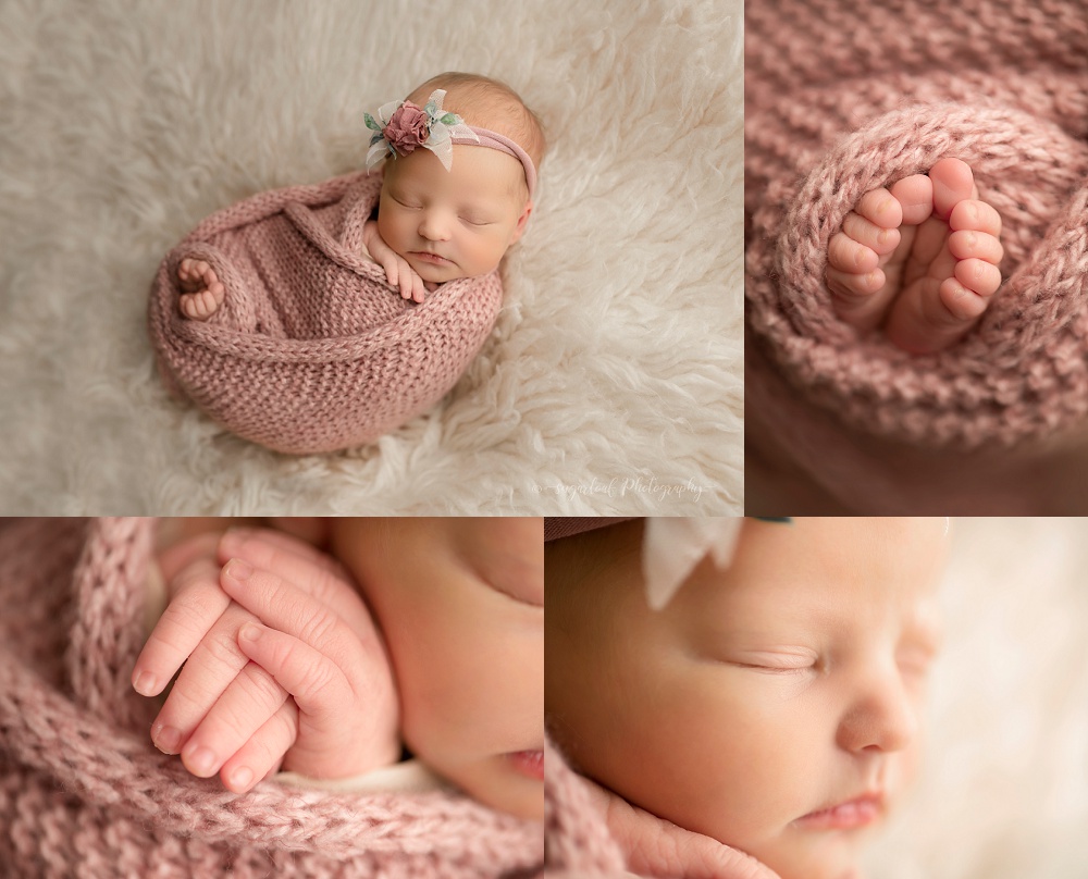 harford county newborn photographer