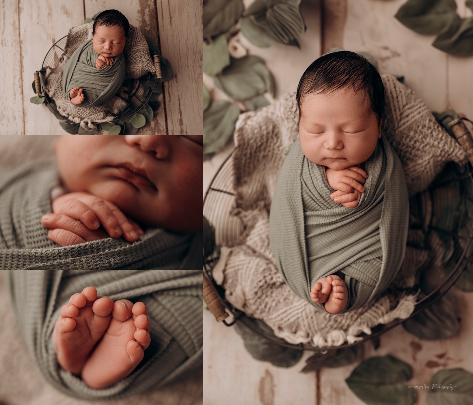 maryland baby photography