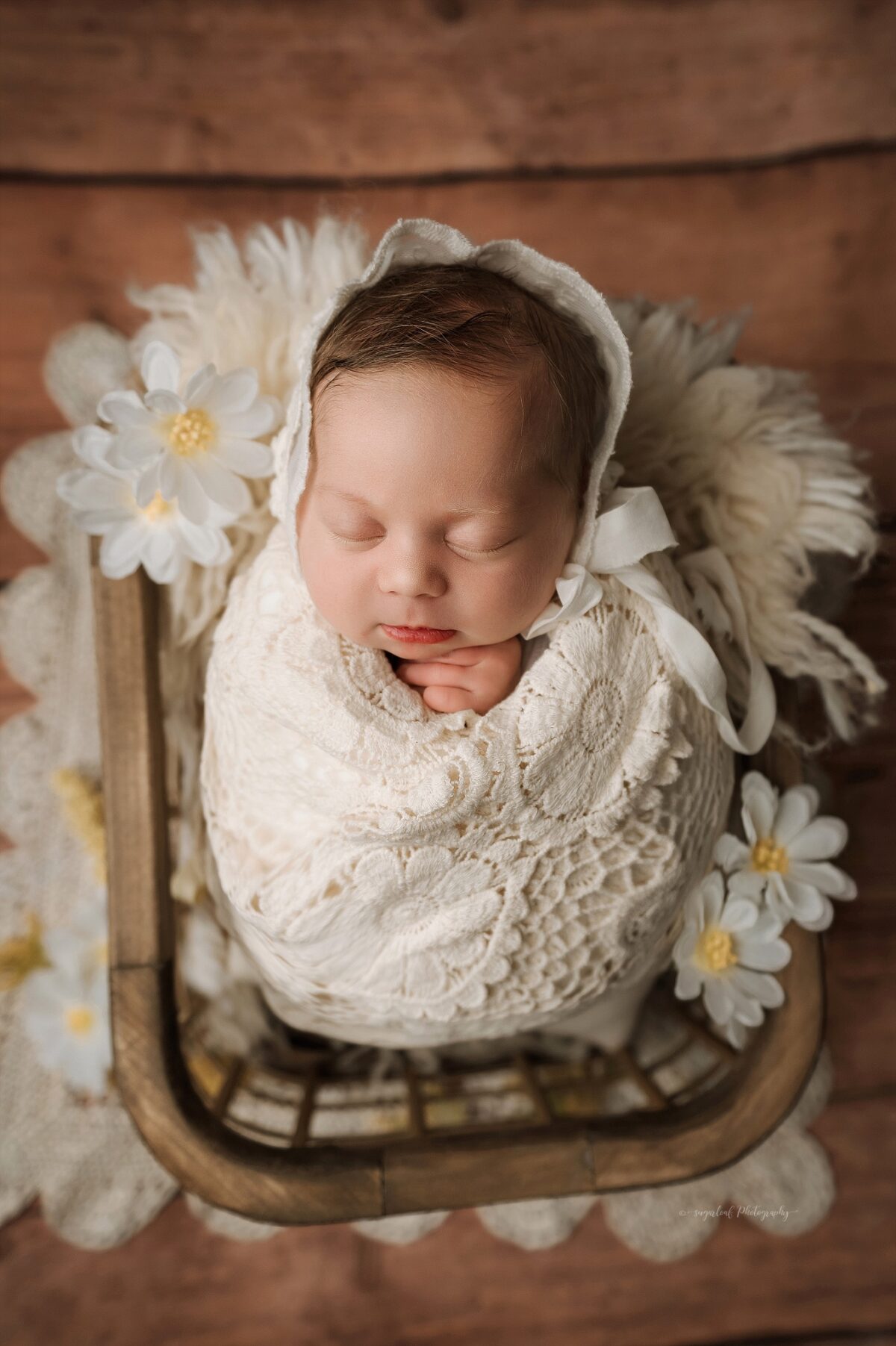 baltimore newborn photographer