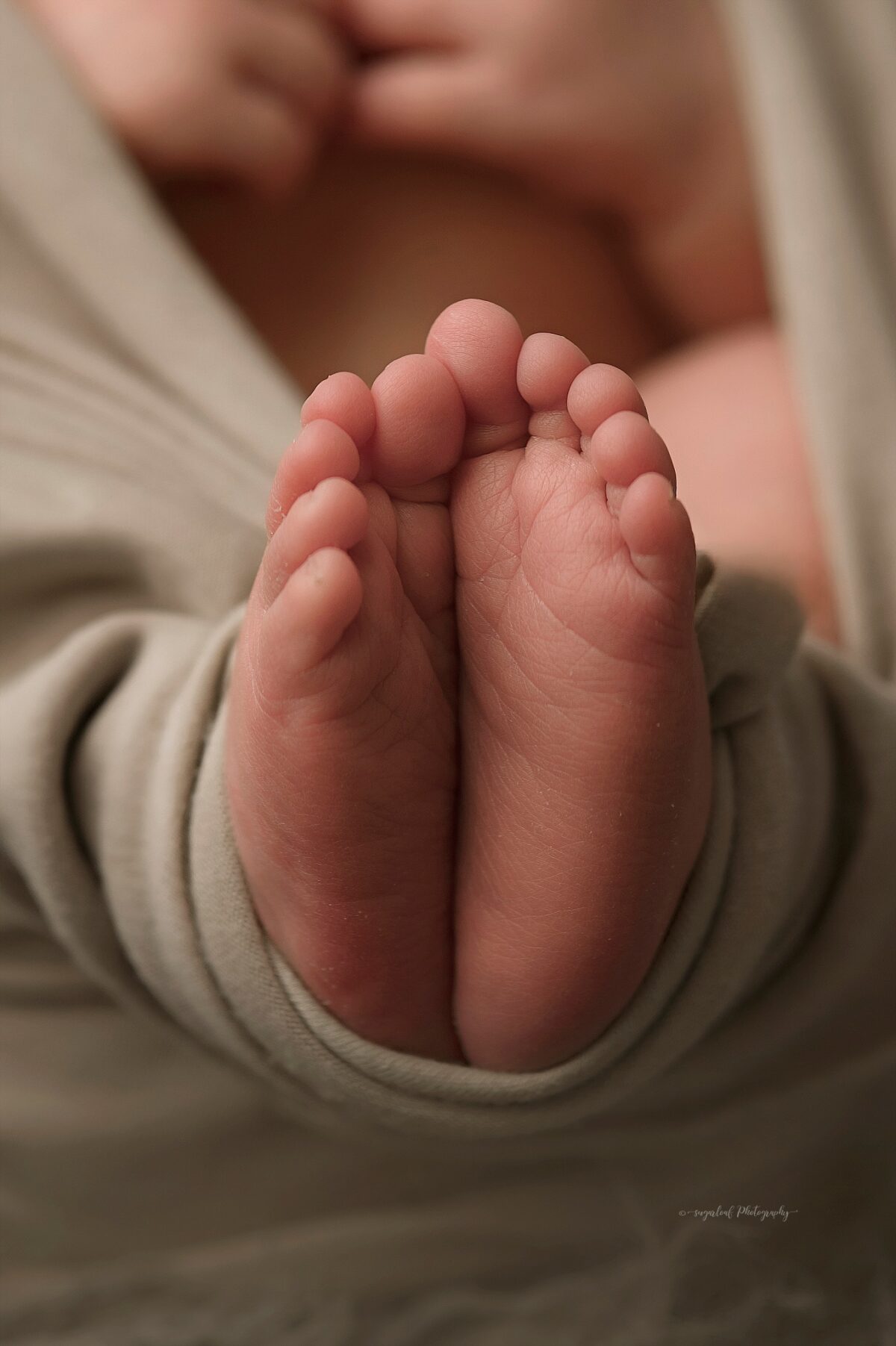 Newborn baby photographed at Bel Air studio by Baltimore newborn photographer