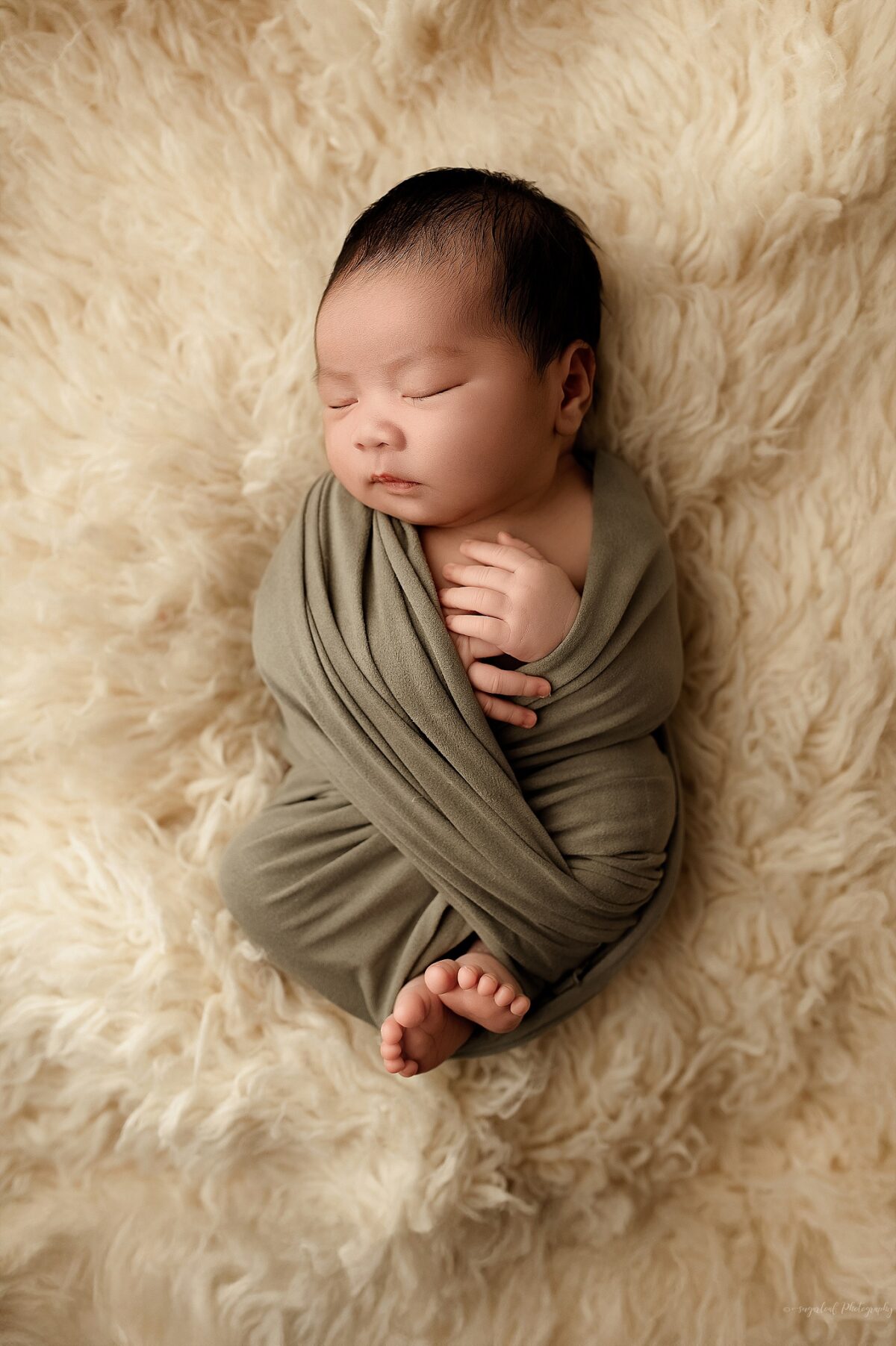 baltimore baby photographer