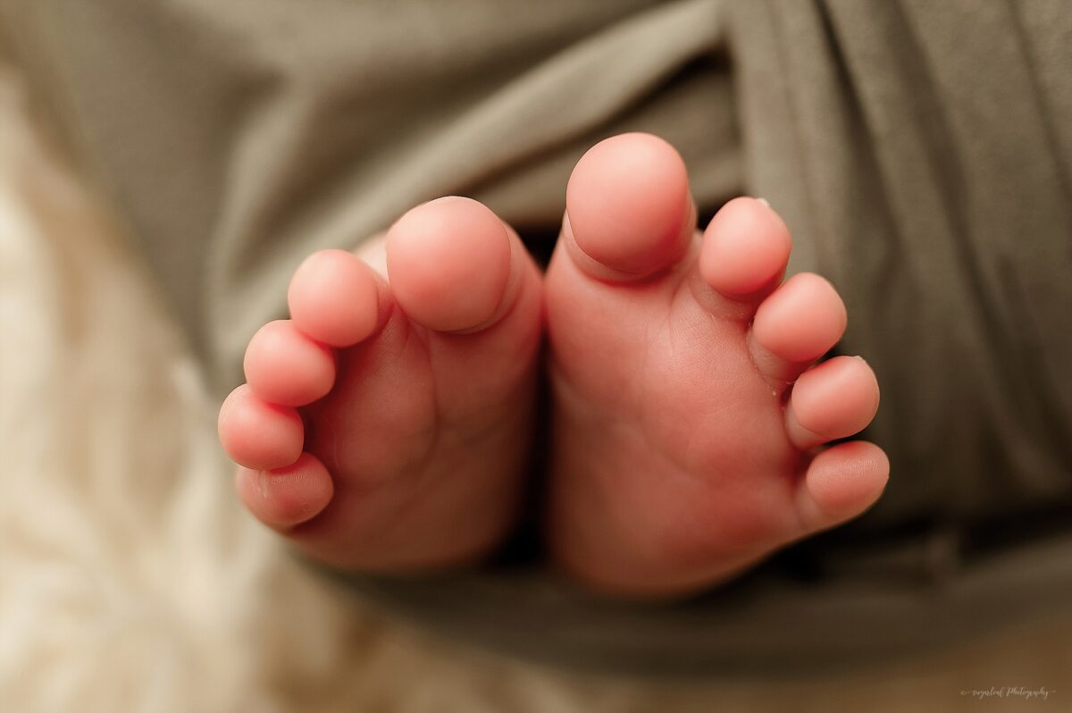 baltimore newborn session