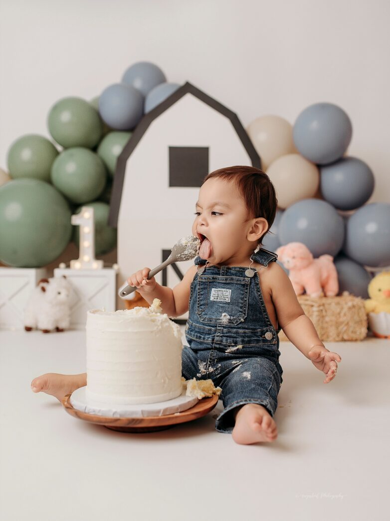 Baby first birthday cake smash Bel Air MD studio portrait