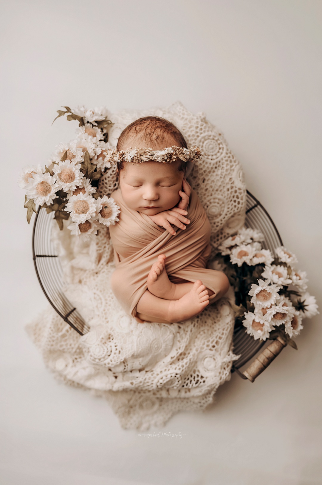 Semi wrapped newborn pose florals Harford County newborn photographer