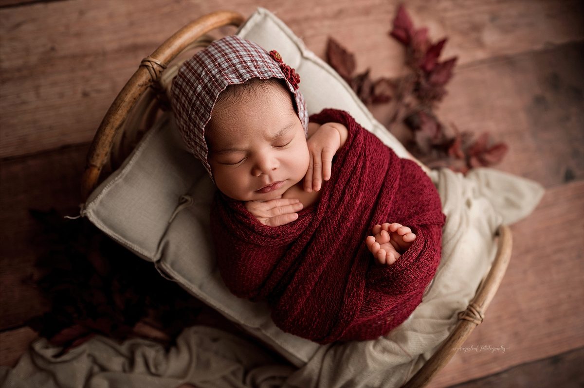 fall newborn session in maryland